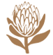 cta-strip-icon-fgm-02.png