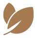 grootbos-web-immersive-wellbeing-leaf-icon-small.png