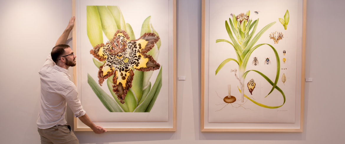 grootbos-web-florilegium-day-tours-hannarie-wenhold-gallery-artwork-01.jpg