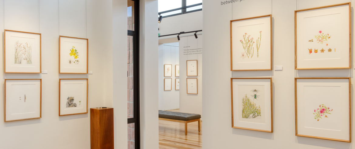 grootbos-web-florilegium-day-tours-hannarie-wenhold-gallery-interior-03.jpg