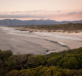 web-grootbos-experience-coastal-safari-beach-04.jpg