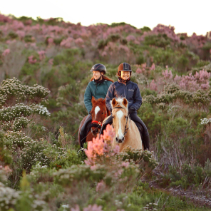 web-grootbos-horse-riding-reserve.jpg