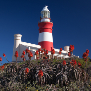 web-grootbos-experience-southern-tip-of-africa.jpg
