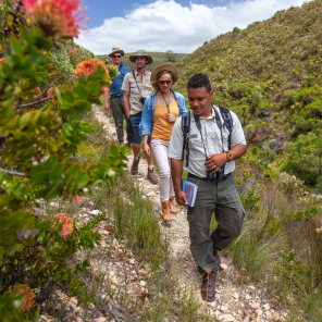 web-grootbos-walks-hikes.jpg