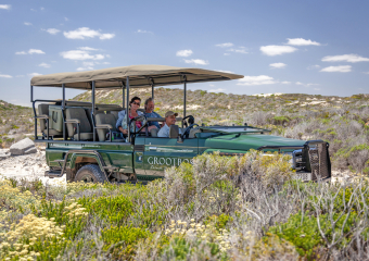 web-grootbos-included-experiences-transfers-to-activities.jpg