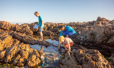 grootbos-web-kids-explorer-experiences-tidal-pools.jpg