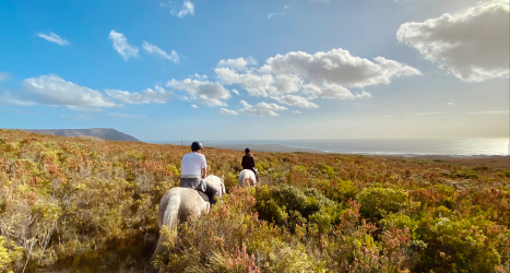 web-grootbos-experience-horse-riding.jpg
