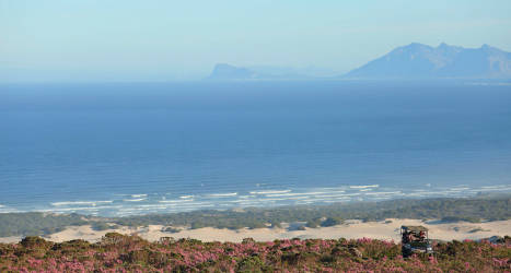 web-grootbos-experiences-flower-safari.jpg
