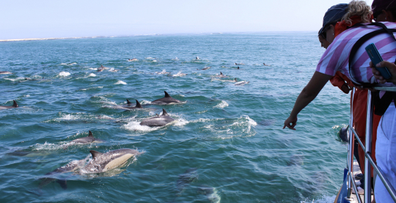 web-grootbos-experience-marine-big-five.jpg