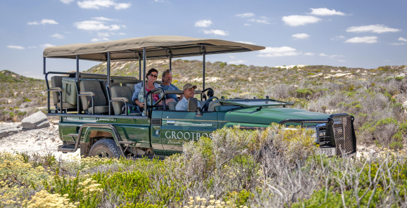 web-grootbos-coastal-safari.jpg